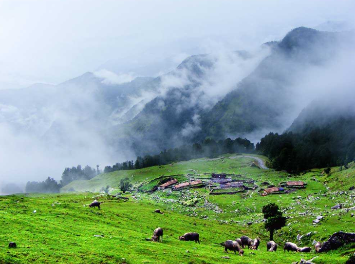 CHOPTA HIMALAYAN ESCAPE – UTTARAKHAND